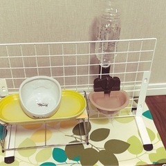 給水器