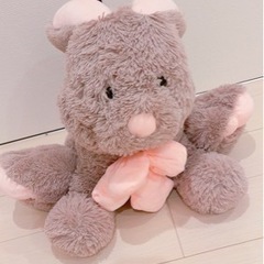 ウサギ🐰