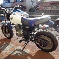 NO.4435　エイプ１００ （ＡＰＥ） クラッチ付き５速ミッション車　タケガワ製ボンバーマフラー　ホワイト　☆彡の画像