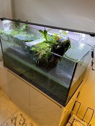 90センチ水槽セット　現状渡し　最終