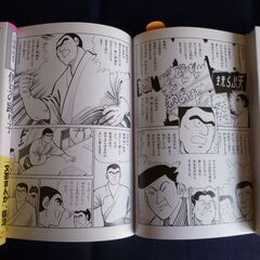 文芸まんがシリーズ 新装版 全15巻セットの画像