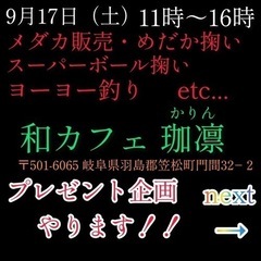 メダカ販売　掬い　その他催し