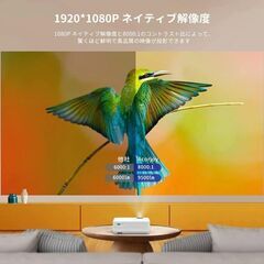 プロジェクター RV500の画像
