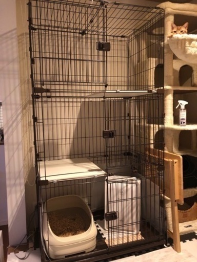 キャットケージ★アイリスオーヤマ