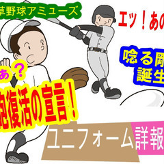 sandlot baseball Player Recruitm...