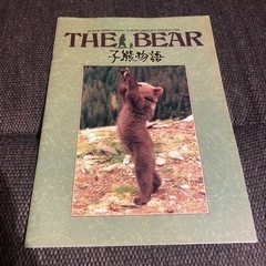 『the bear 』パンフレット