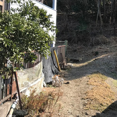 青梅（東京都）の山　1000坪の土地 - 土地販売/土地売買
