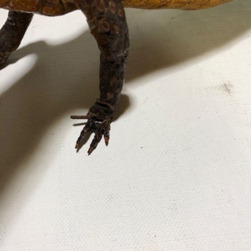 ワニ　置物