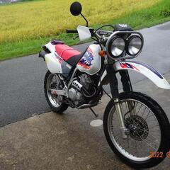 XLR250R BAJA MD30の画像