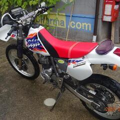 XLR250R BAJA MD30の画像