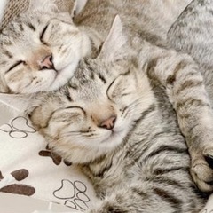 松本駅前9月17日(土)カラオケやりますよ〜😽みんな来てね❣️ - 松本市