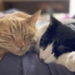 松本駅前9月17日(土)カラオケやりますよ〜😽みんな来てね❣️ - 友達