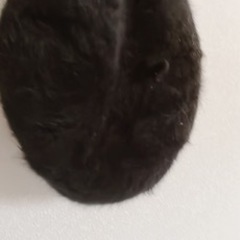 モヘアベレー帽