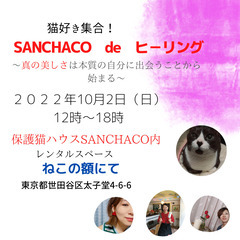 猫好き集合！　SANCHACO　de　ヒーリング～真の美しさは本...