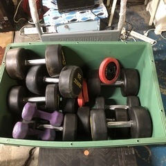 I ROTEC アイロテック　30kg ダンベル　2個セット　筋...