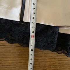 スコットクラブ系の画像