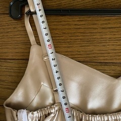 スコットクラブ系の画像