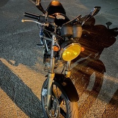VTR250 V型エンジン 2気筒 車庫管理