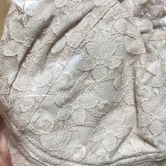 ANCAの画像