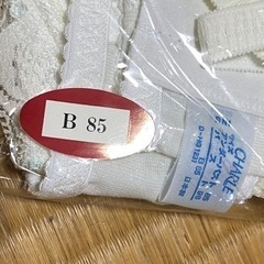 シャルレの画像