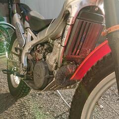 ベータRev.３    トライアルバイクの画像
