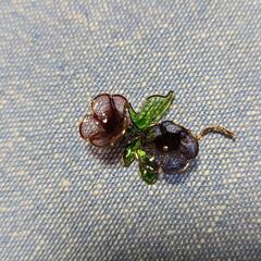 ハンドメイドピアス✨の画像