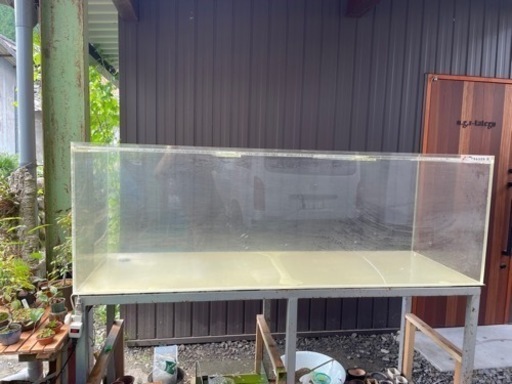 大型水槽
