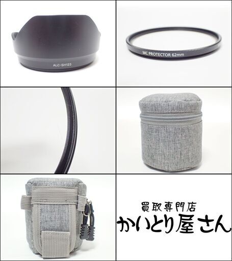 D420 ソニー SEL1018 E 10-18mm F4 OSS ズームレンズ