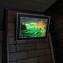 無料にします!!豪華4点セット!光る絵画!!猫の立体的な絵画!！...