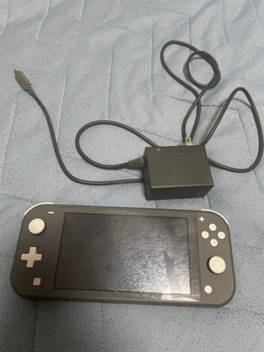 Nintendo Switchライト(グレー)　実働