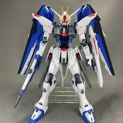 MG マスターグレード 1/100 フリーダムガンダム Ver.2.0 素組の画像