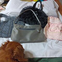 ゴス、ロリ、エレガント、メルヘン系ハンドバッグの画像