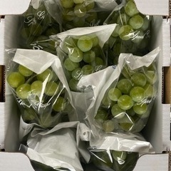 ナイヤガラ 贈答用 1箱(2キロ)引き取り限定価格