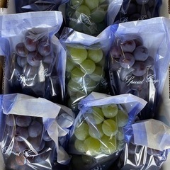 混合(ミックス) 引き取り限定