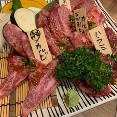 〈全国版〉大人のおもいっきり遊ぶためのサークル