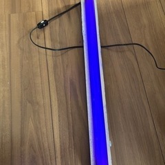 ブラックライトの画像