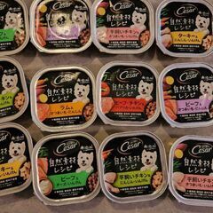 【最終値下げ！】シーザー　自然素材レシピ　12個