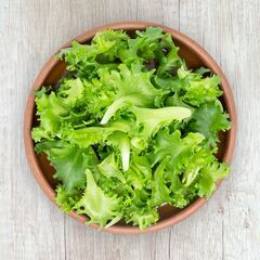 【単発1日〜OK！】徳島県阿波市阿波町の植物工場でレタス栽培補助...