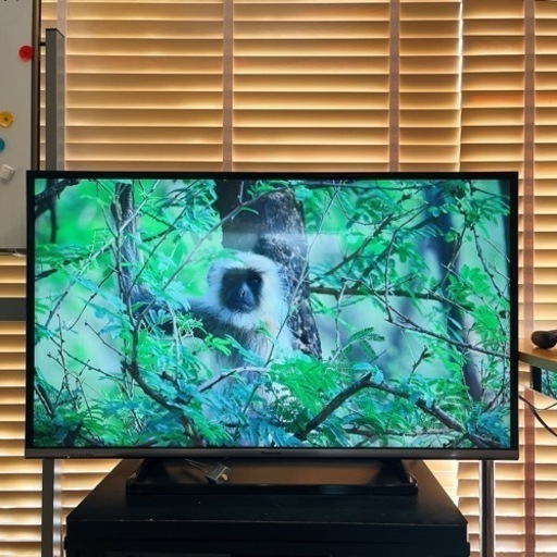 42型テレビ Panasonicビエラ 地上・ＢＳ・１１０度ＣＳデジタルハイビジョン液晶テレビ TH-42AS600