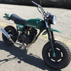 ホンダ　エイプ50    書類付実働ベース車