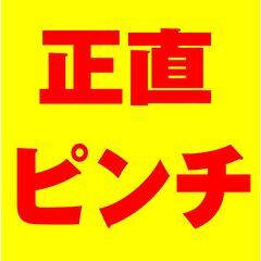 【手持ち0円です…】大丈夫！京栄センターにといあわせ！の画像