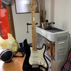 フェルナンデスのエレキギター