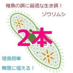 ★全国発送可　ゾウリムシ　タレビン 48ml×2本★