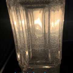 ★全国発送可　ゾウリムシ　タレビン 48ml×2本★の画像