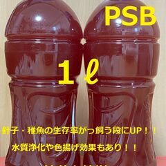 ★全国発送可　光合成細菌　1L　おまけエビオス10錠★