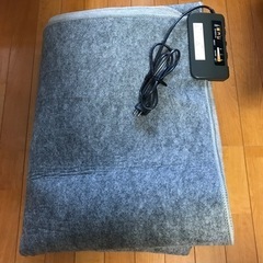 お話し中…ホットカーペット