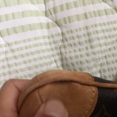 ヴィトン  手提げの画像