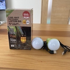 キャンプ用ランタンとUSB電球(決まりました)