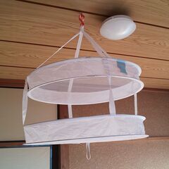 干しかご・乾燥かご