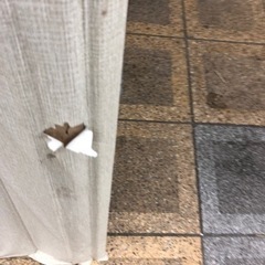 アコーディオン　ドア　無料　0円の画像